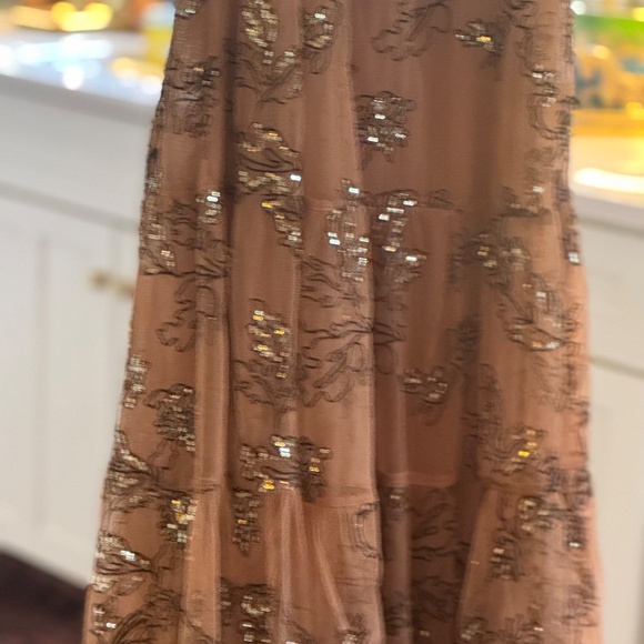 NWT Anthropologie Embroidered Sequin Mesh Maxi Dress โ Size L โ Neutral Motif - Picture 9 of 14
